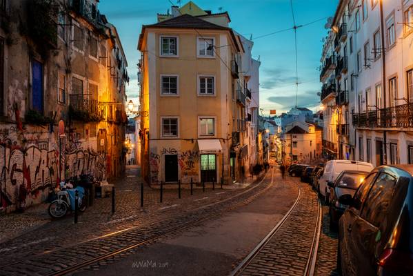 Lisbon evening