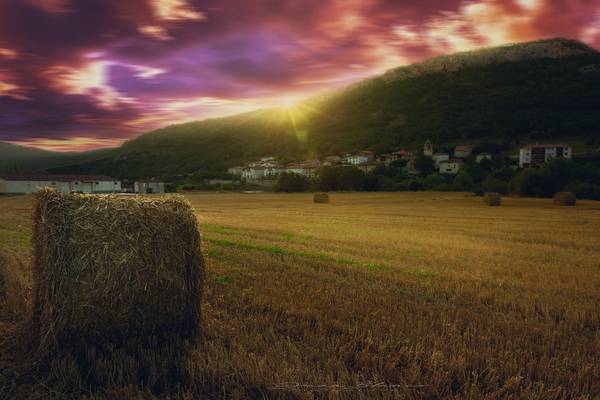 Villaluenga | Burgos | 2014