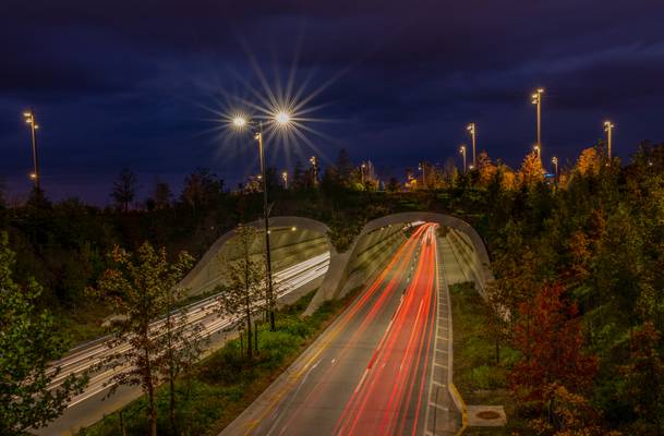 Light Trails at the Gathering Place