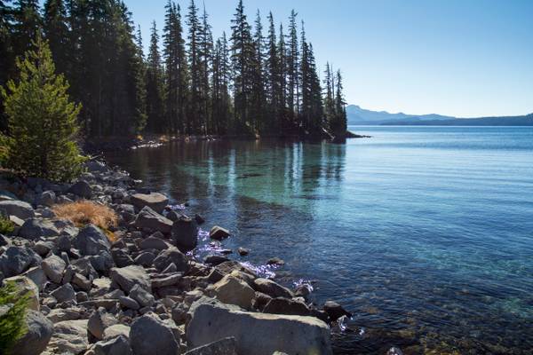 Islet Bay, Waldo Lake, Oregon