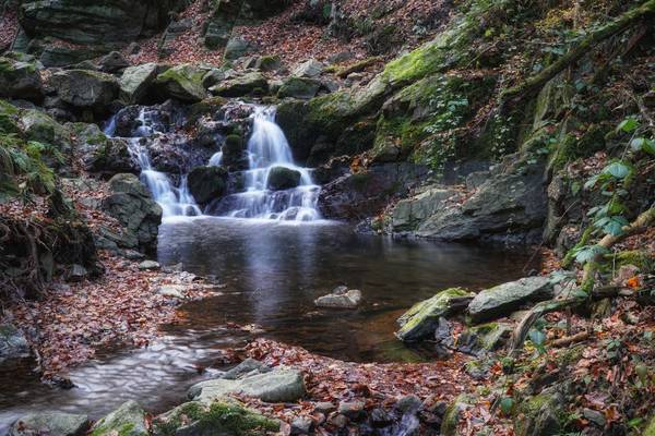 Morgenbachtal