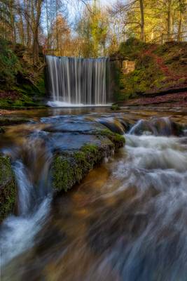 Nant Mill Woods