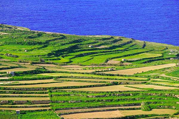 Green & blue, Gozo, Malta