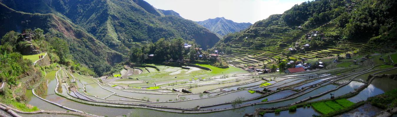 Rice terraces near Banaue, Batad, Cordillera, North Luzon, Philippines