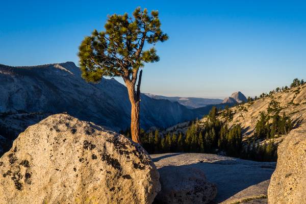 Olmsted Point, Yosemite NP_7041027