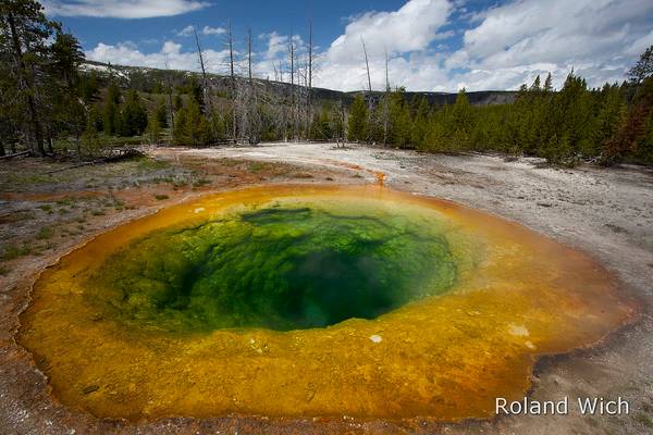 Yellowstone N.P. - Morning Glory Pool