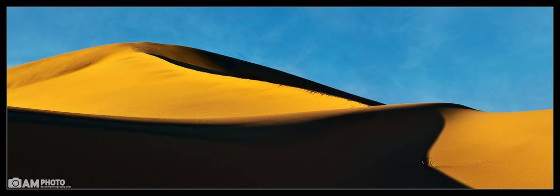 Shadowed Desolation [Explored]