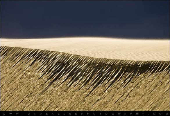 Jockeys Ridge State Park NC Sand Dunes Minimalism