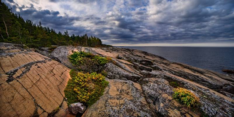 Rocky shore