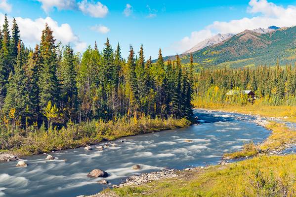 Riley Creek in Denali NP