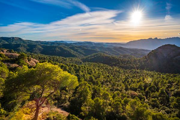 Parc Natural de Sant Llorenç del Munt i l'Obac, CAT, ES