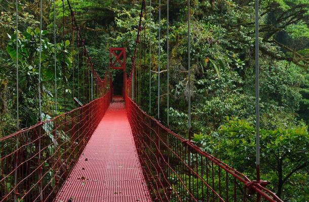 Hanging Bridge in Monteverde Cloud Forest Reserve
