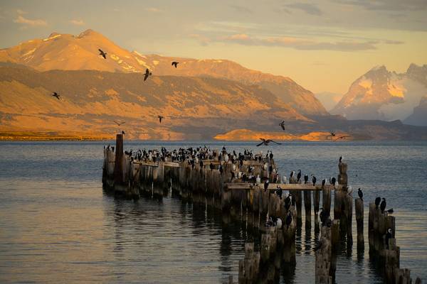 Puerto Natales - Chile