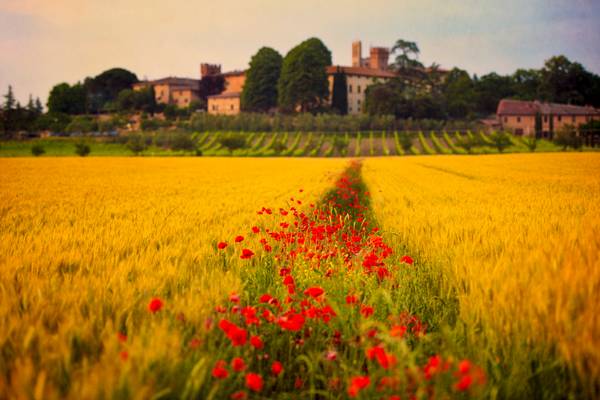 Tuscany Dreamland