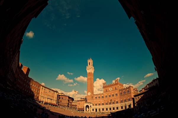 Piazza del Campo, Siena