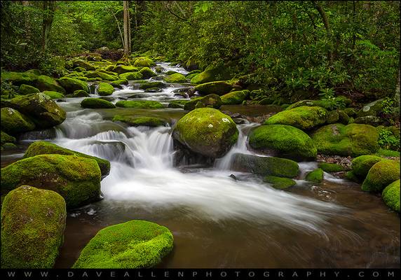 Smoky Mountains Paradise - Great Smoky Mountains Gatlinburg TN