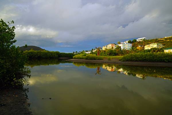 Morning reflections in the calm pond, Royal St Kitts Golf Course