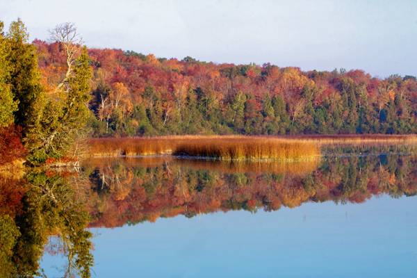 Kangaroo Lake in Fall, Door County