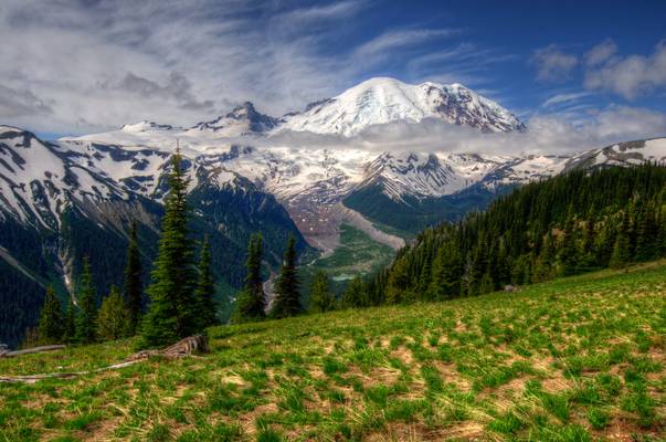 Mt Rainier National Park, Washington