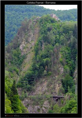 Cetatea Poenari