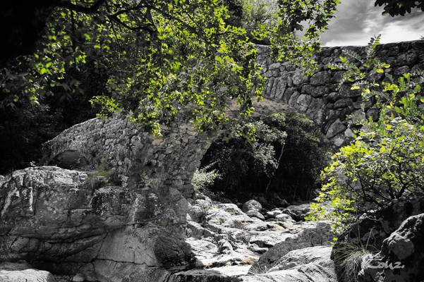 Pont romain sur le Lignon (2/3)