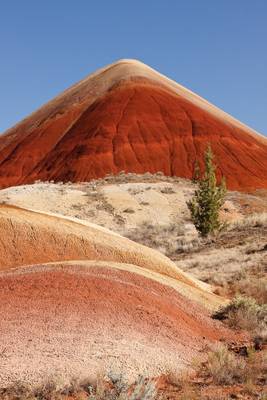 I Love That Perky Red Hill