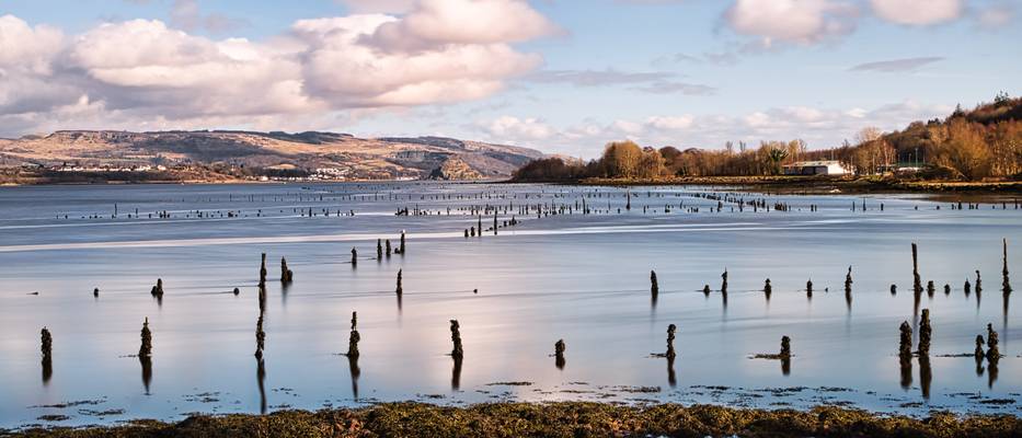 Timber Pond's Revisited.