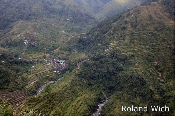 Cambulo Rice Terraces