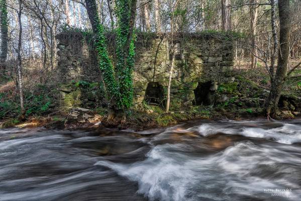 Muíño no Río das Lañas