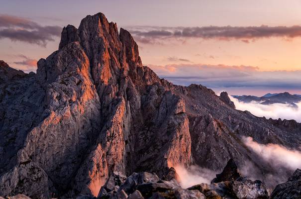 La torre del Friero