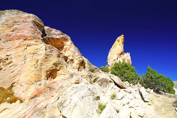 Fancy rocks along the Fossil Trail, Dinosaur, Utah
