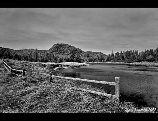 Across the Fence