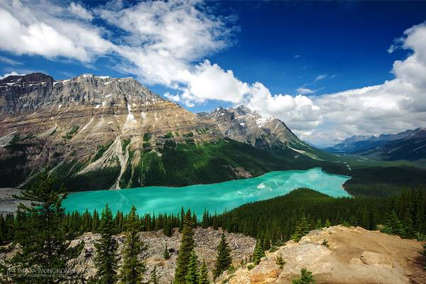 Peyto Lake