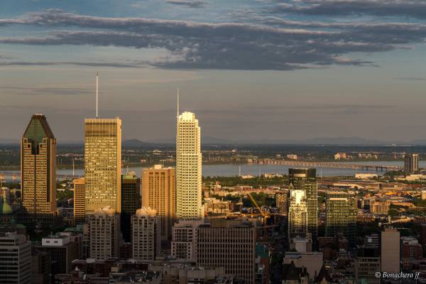 Montréal: les buildings du centre ville