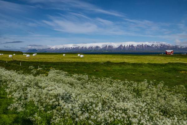 Iceland 2015