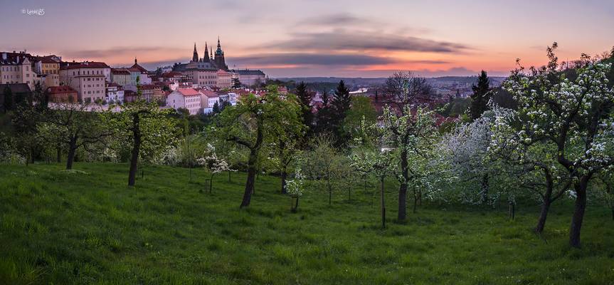 Spring is coming to Prague