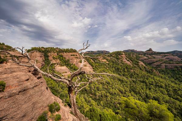 Sant Llorenç del Munt, CAT, ES