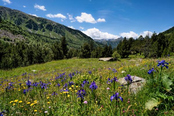 Sorteny Valley, Andorra