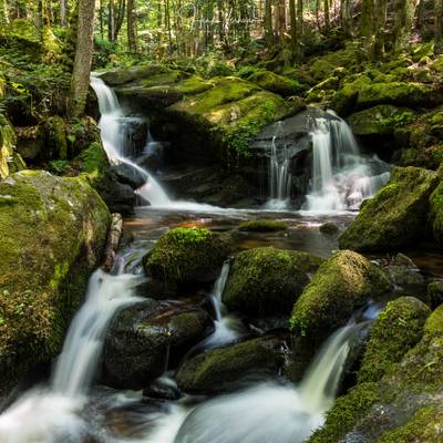 Cascade Valle des Darots, Auvergne France