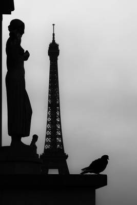 Paris 2016- Eiffel Tower