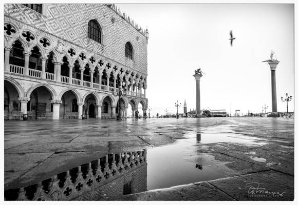 Venice B/W 3