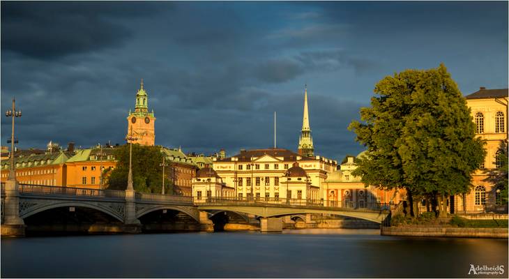 Golden Stockholm