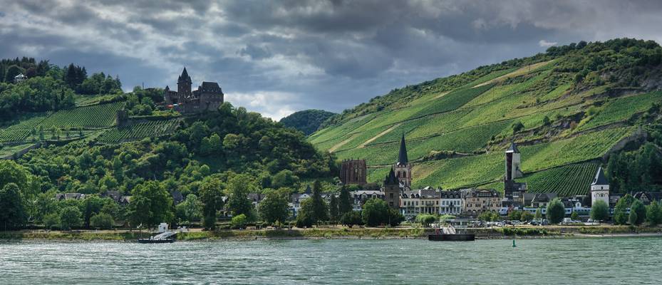 Bacharach from the other side