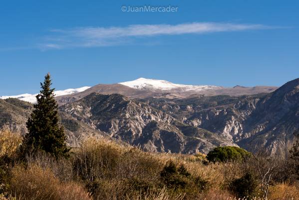 Sierra Nevada