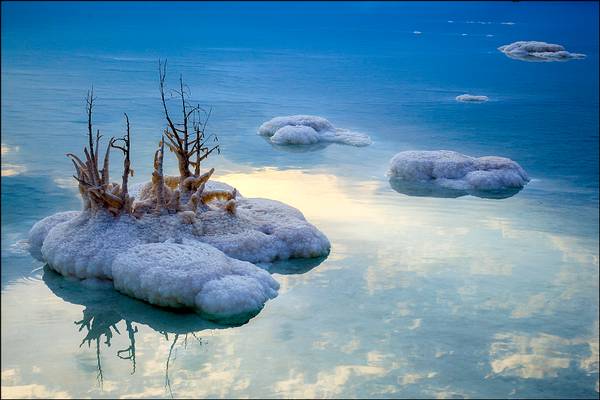 The Dead Sea