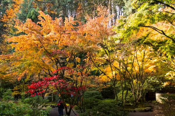 Portland Japanese Gardens, Oregon