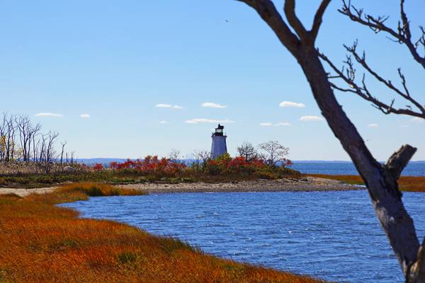 Fall colours of Fayerweather Island, Connecticut