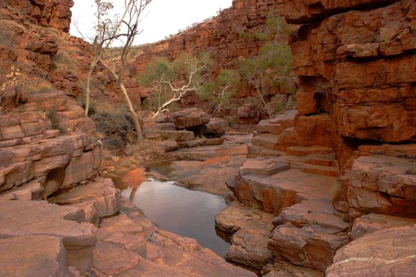 Chain of Ponds, Central Australia