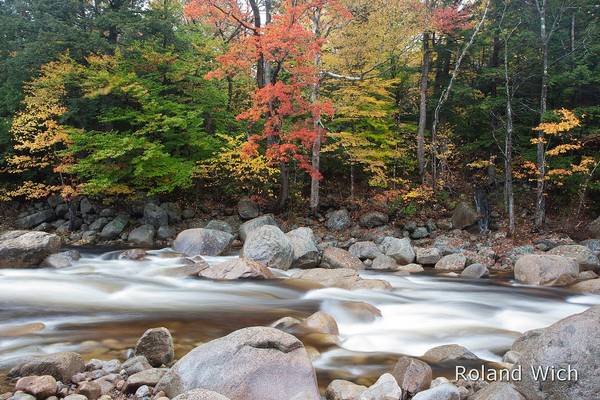 Autumn along Swift River
