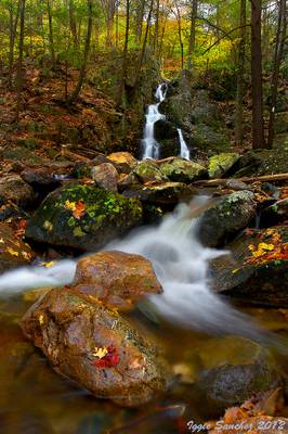 The Autumnal Colors of Fitzgerald Falls
